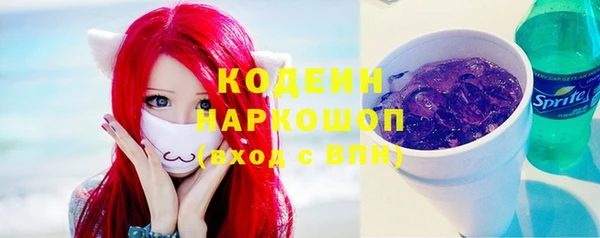 стаф Балахна