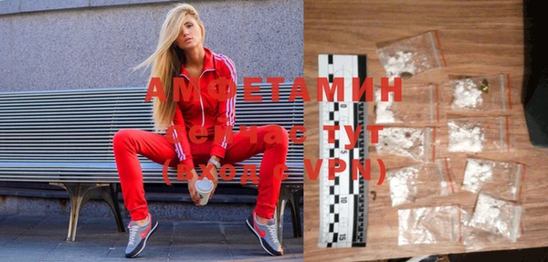 стаф Балахна