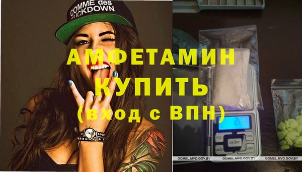 стаф Балахна