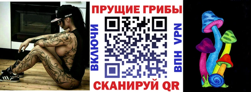 Купить закладки  Новоаннинский  Галлюциногенные грибы GOLDEN TEACHER 